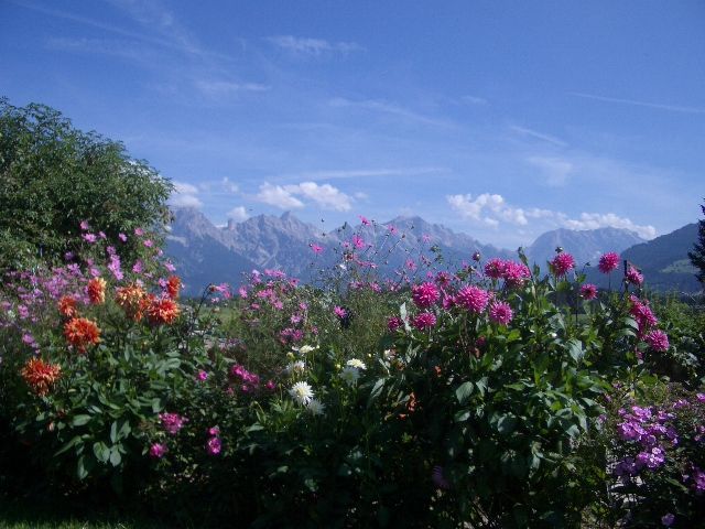Blick vom Garten auf die Berge